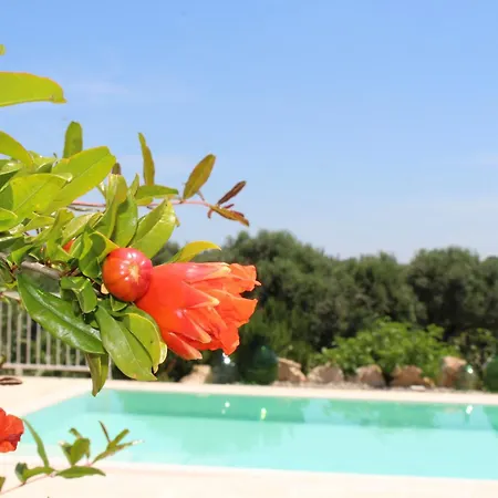 Casa de Campo Trullo Il Melograno