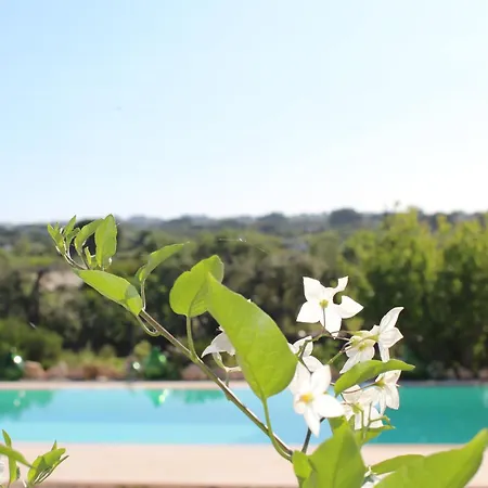 Trullo Il Melograno *