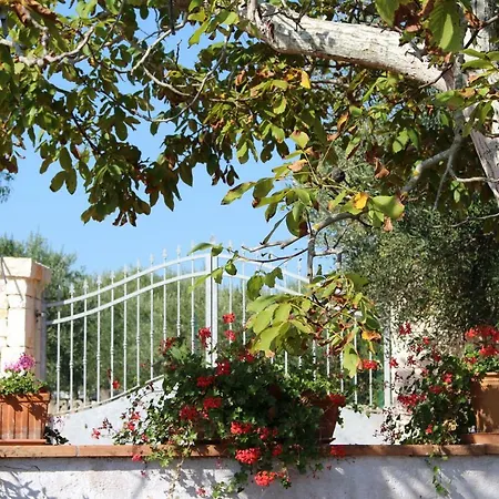 Trullo Il Melograno Casa di campagna Ostuni