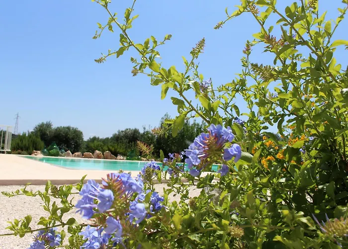 Trullo Il Melograno Country house