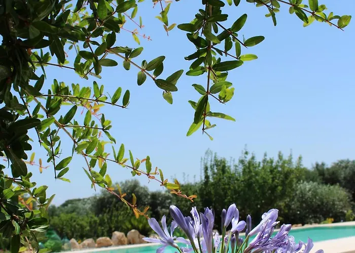 Trullo Il Melograno Ostuni