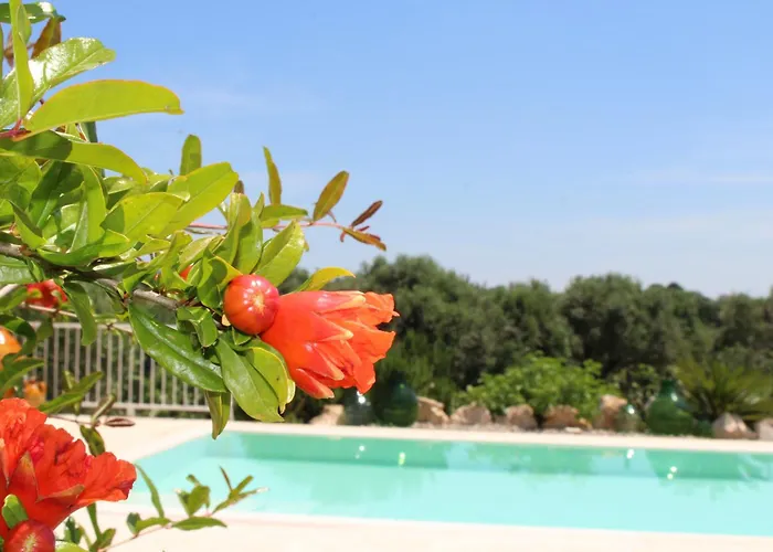 Gospodarstwo wiejskie Trullo Il Melograno