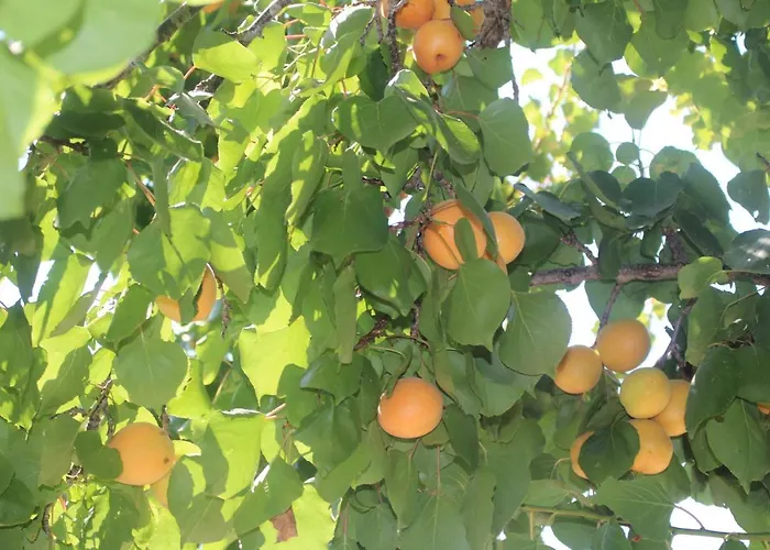 Trullo Il Melograno *